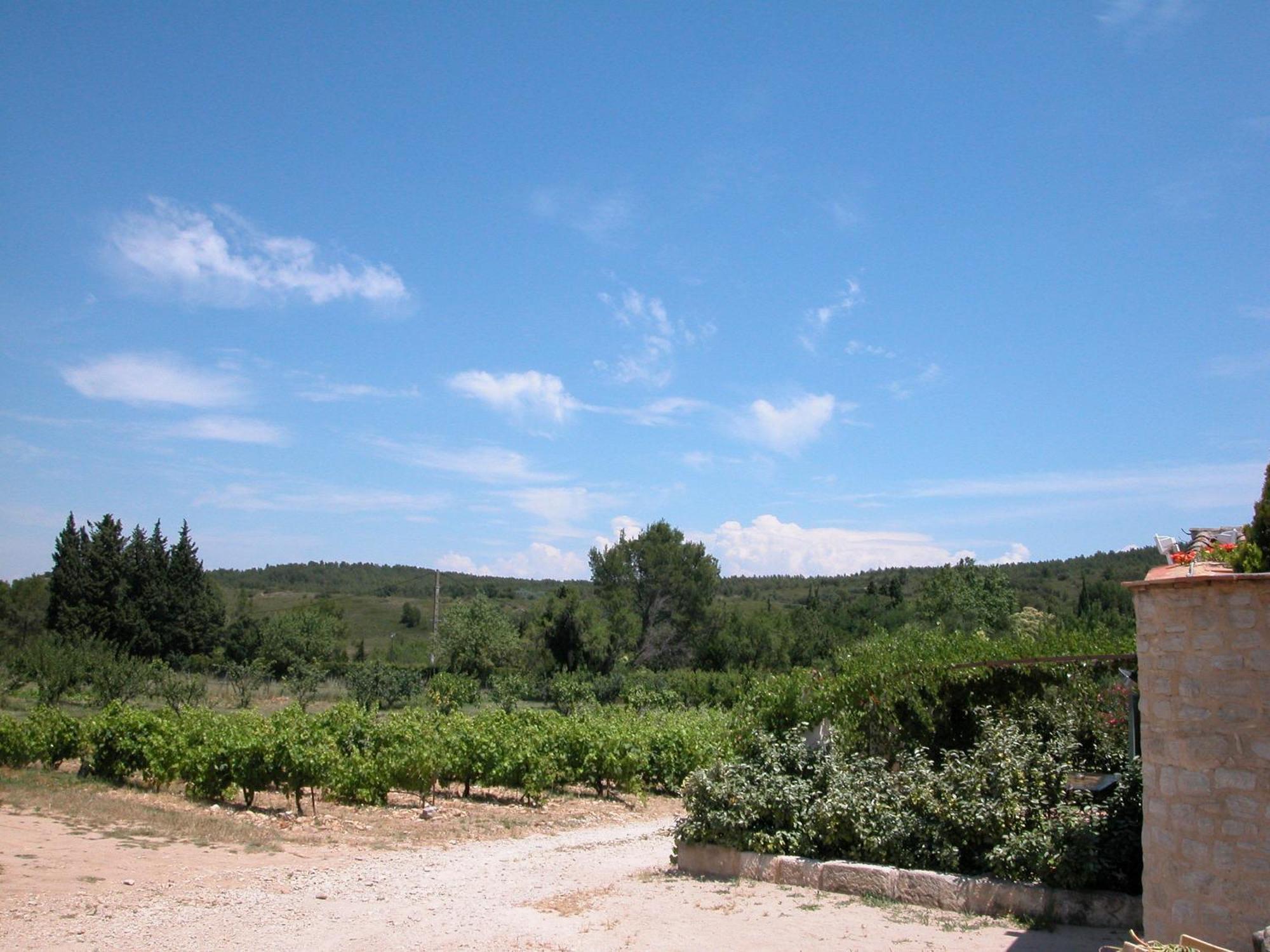Le Mazet De La Dame Bed and Breakfast Barbentane Εξωτερικό φωτογραφία
