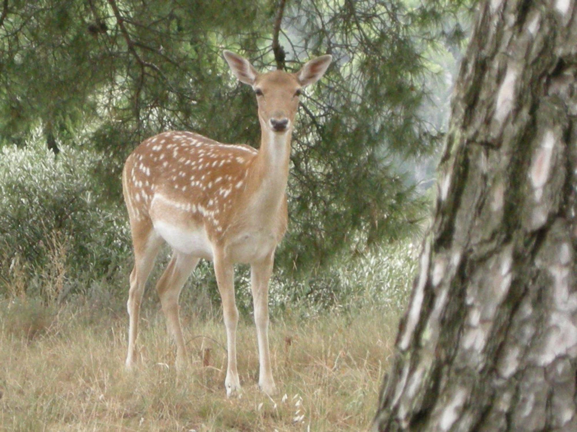 Le Mazet De La Dame Bed and Breakfast Barbentane Εξωτερικό φωτογραφία