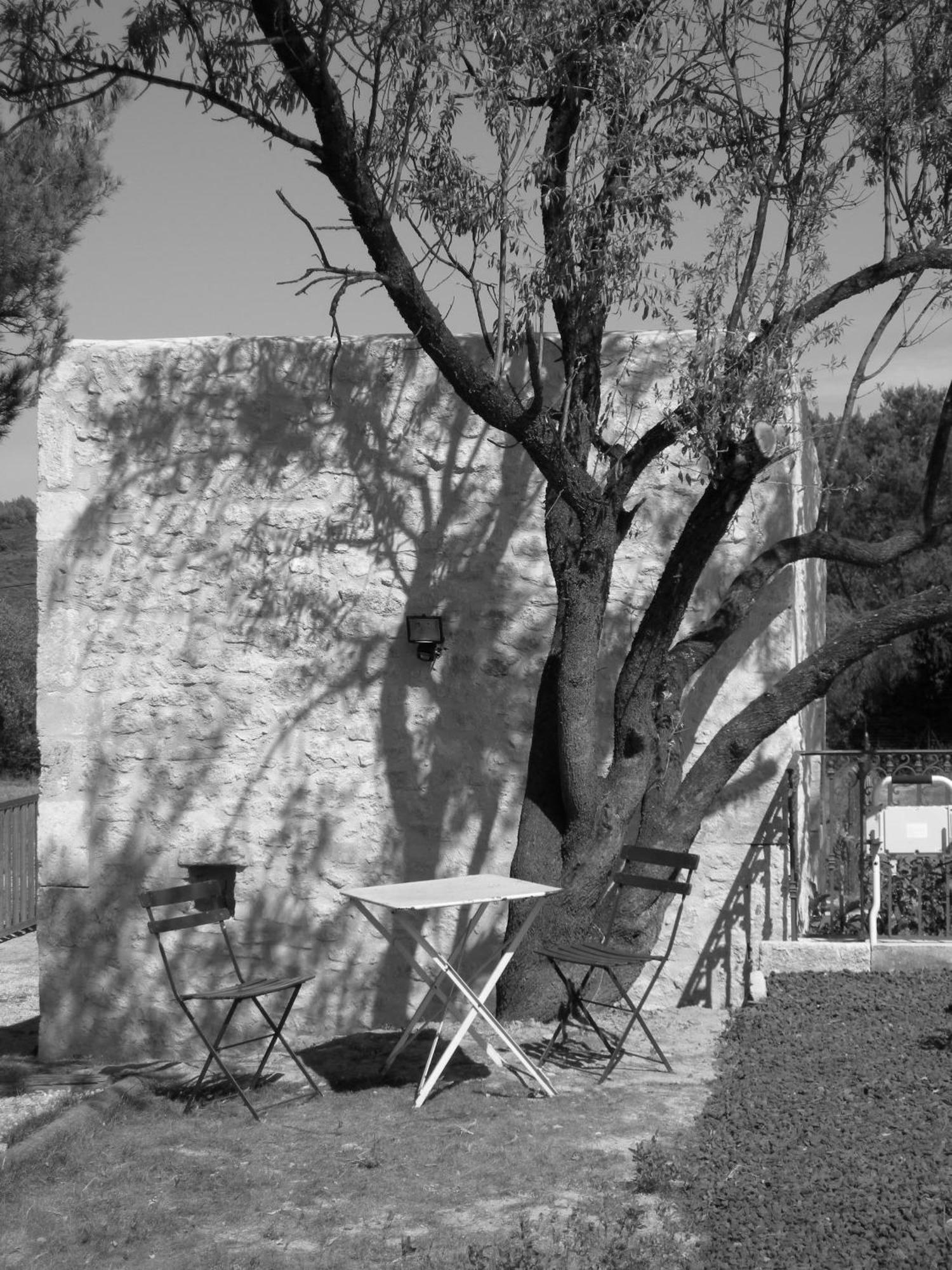 Le Mazet De La Dame Bed and Breakfast Barbentane Εξωτερικό φωτογραφία